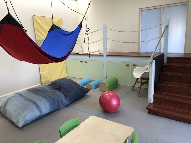Coast and Country Occupational Therapy room